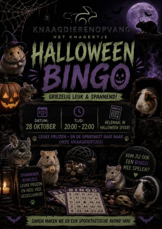 halloween-bingo