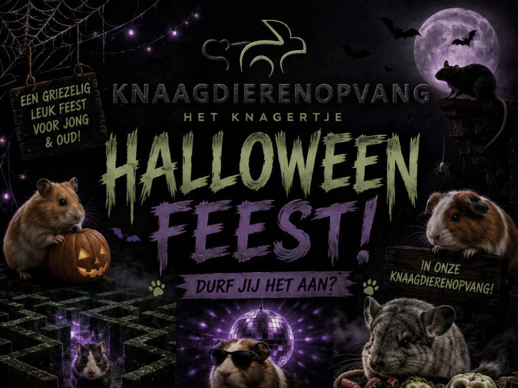 halloweenfeest1